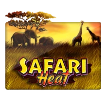 Joker123 : Safari Heat - AUTOCUAN777