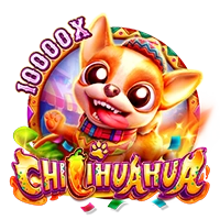 Facai : CHILIHUAHUA - AUTOCUAN777