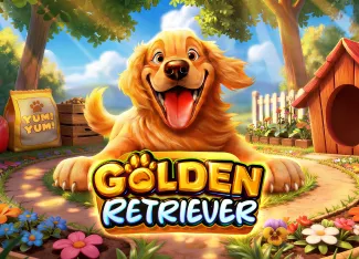 Pragmatic : Golden Retriever - AUTOCUAN777