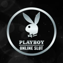 Playboy - AUTOCUAN777