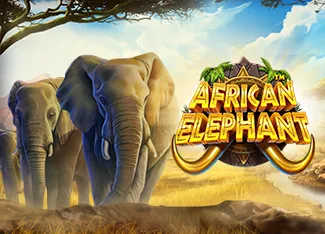 Pragmatic : African Elephant - AUTOCUAN777